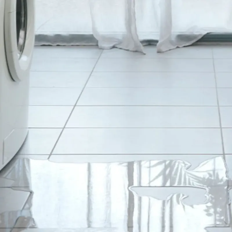 Appliance Leak Cleanup in Sparta, NJ