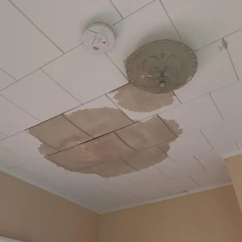 Ceiling Water Damage Repair in Sparta, NJ